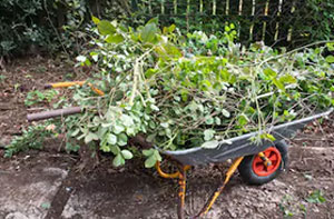 Garden Clearance Redbourn (01582)
