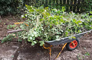 Garden Clearance Newport-on-Tay (Dialling code	01382)