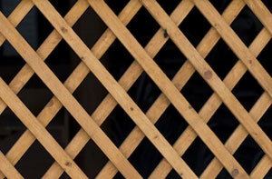 Trellis Fence Adlington (01257)