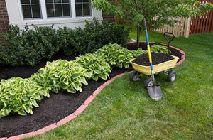 Gardener Claygate Area