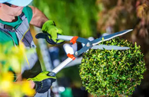 Gardeners in the Measham Area