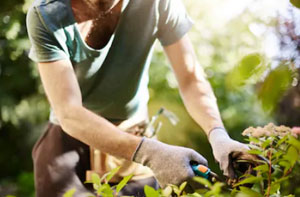 Gardeners Near Blaydon