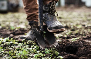 Gardening Services Locks Heath Area (SO31)