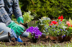 Gardening Services Cardiff Area (CF1)