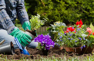 Gardening Services Frimley (GU16)