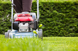 Lawn Mowing Longton Staffordshire