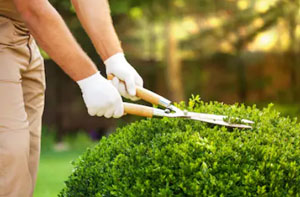 Gardeners in the Heswall Area
