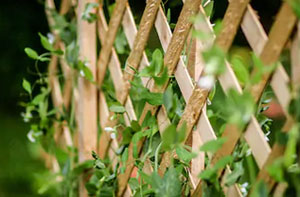 Trellis Fence Haywards Heath (01444)