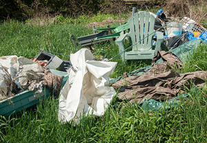 Garden Clearance Rushden (01933)