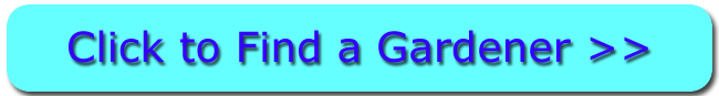 Click For Gardening in Basildon Essex