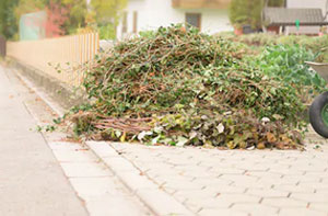 Garden Maintenance Minster-on-Sea