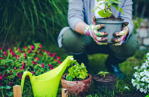 Gardening Services Whetstone Leicestershire (LE8)