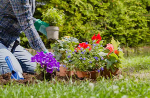 Gardening Services Ringwood Hampshire (BH24)