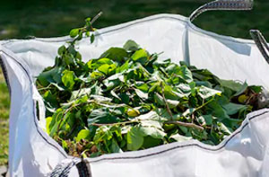 Green Waste Removal Arnold (0115)