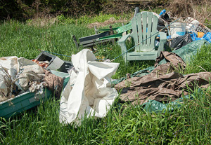 Garden Clearance Christchurch Garden Clearance Christchurch
